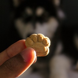 Schedule a tour today!