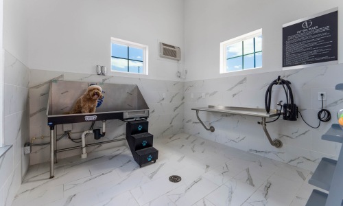 Pet Amenities Cover Image