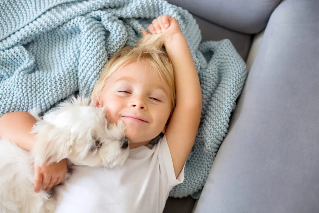 Young child with white dog