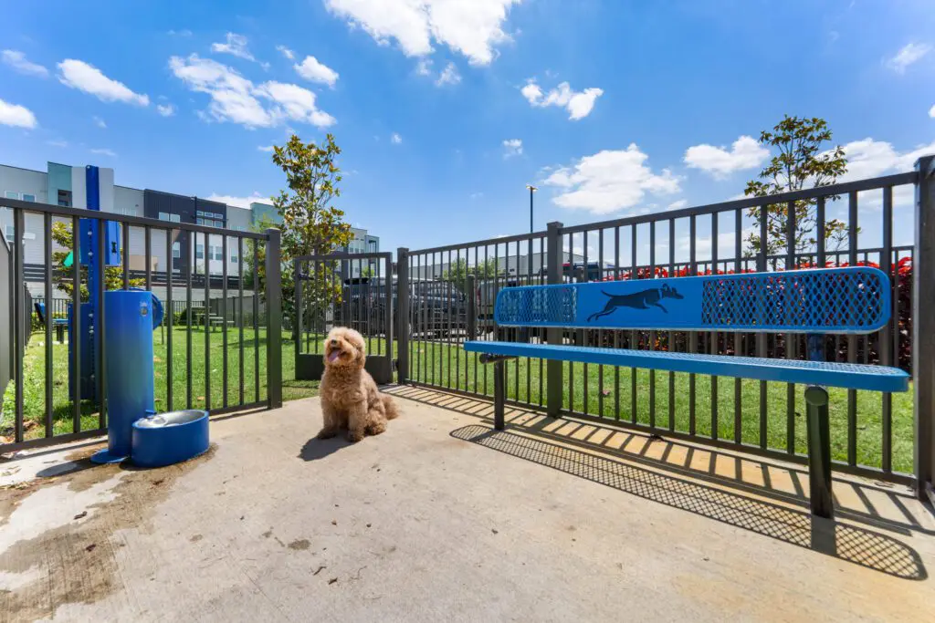 The Addison Gateway Apartments Orlando Florida Pet Friendly
