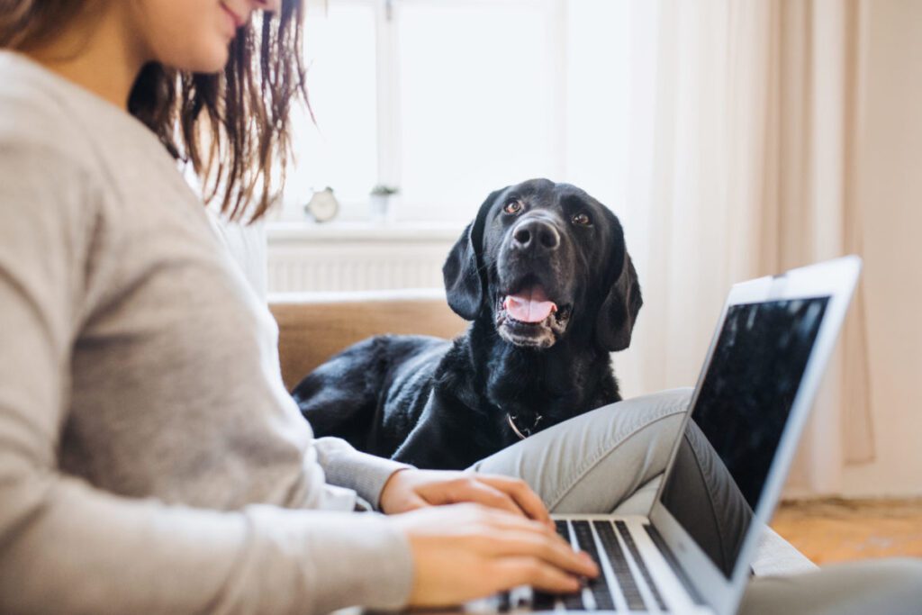 young woman with black lab and laptop