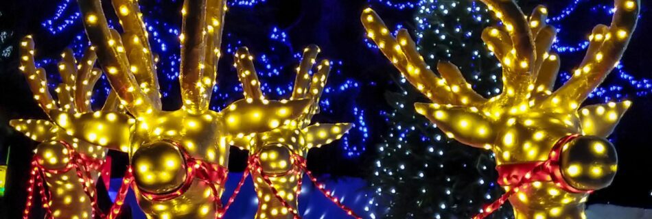 Christmas lights of reindeers